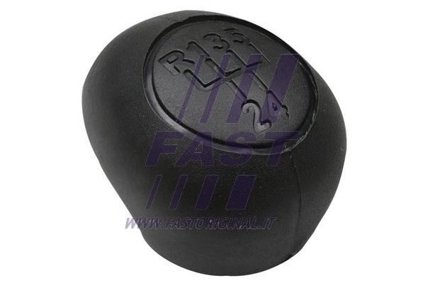 Gear Shift Lever Knob (FT73201)