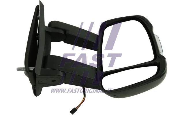 Exterior Mirror (FT88263)
