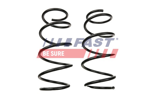 Suspension Spring (FT12294K)