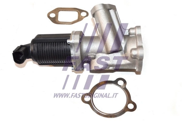 EGR Valve (FT60236)