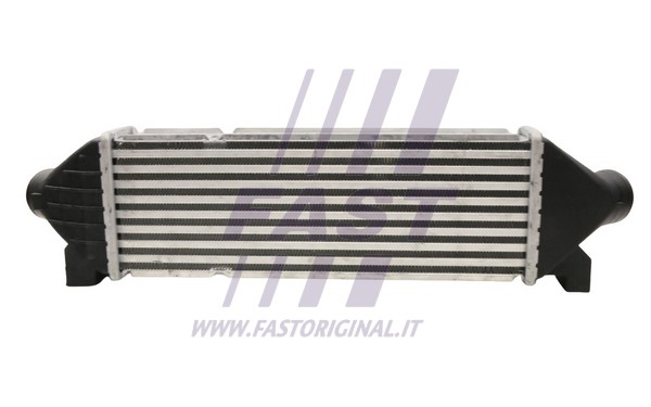 Charge Air Cooler (FT55601)