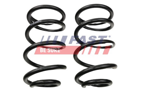 Suspension Spring (FT12291K)