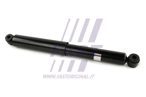 Shock Absorber (FT11069)