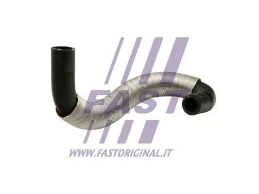 Radiator Hose (FT61087)