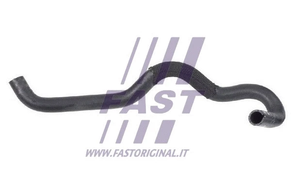 Radiator Hose (FT61381)