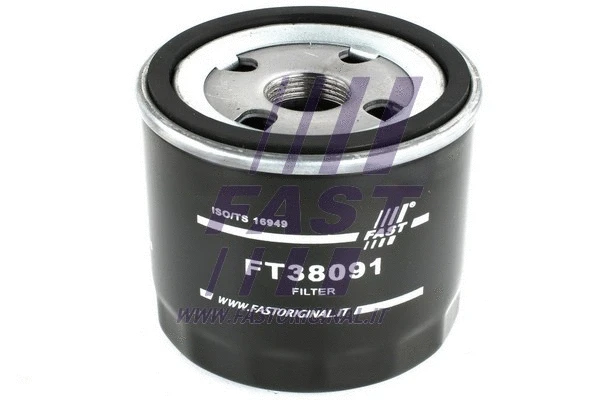 Oil Filter (FT38091)