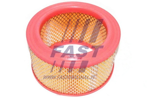 Air Filter (FT37139)