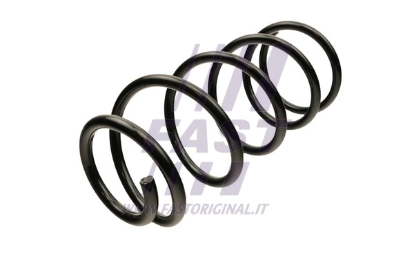Suspension Spring (FT12292)