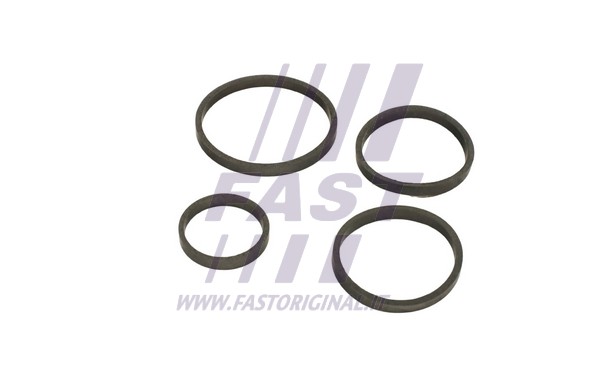 Gasket, oil cooler (FT48949)