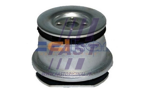 Bushing, axle beam (FT18016)