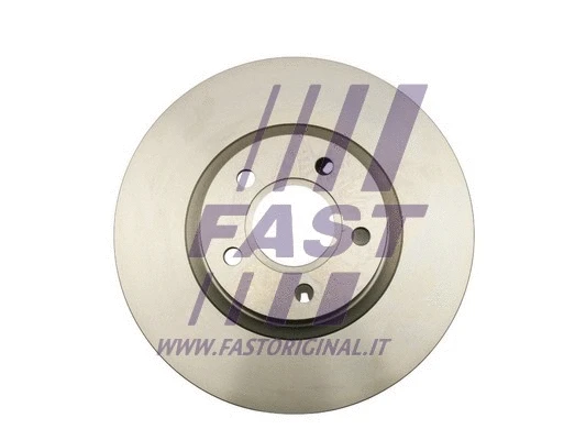 Brake Disc (FT31138)