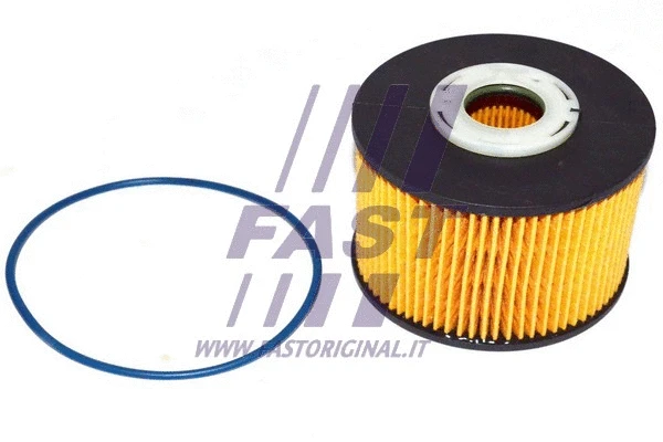 Fuel Filter (FT39077)