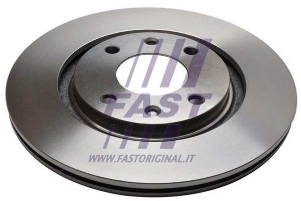 Brake Disc (FT31100)