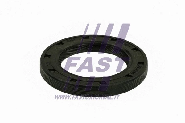 Shaft Seal, differential (FT49849)