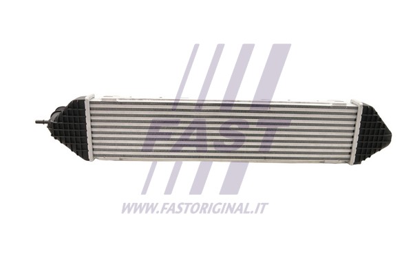Charge Air Cooler (FT55598)