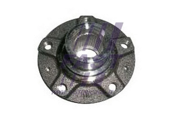 Wheel Hub (FT23059)
