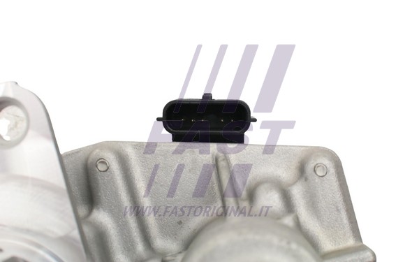 EGR Valve