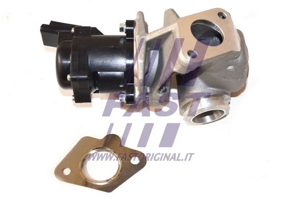 EGR Valve (FT60225)