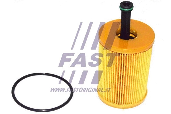 Oil Filter (FT38082)