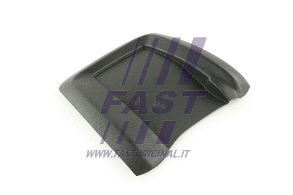 Cover, exterior mirror (FT88829)
