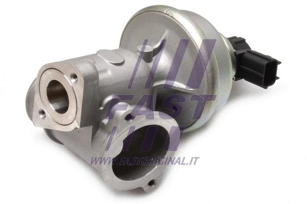 EGR Valve (FT60224)