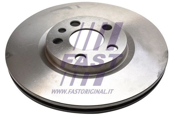 Brake Disc (FT31038)
