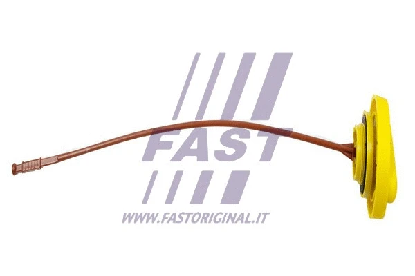 Oil Dipstick (FT80309)