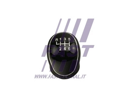 Gear Shift Lever Knob (FT73232)