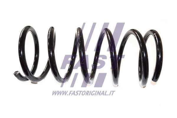 Suspension Spring (FT12266)