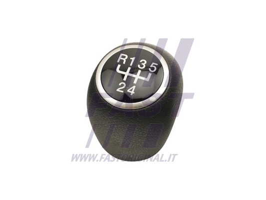 Gear Shift Lever Knob (FT73239)