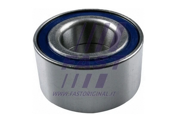 Wheel Bearing (FT21001)
