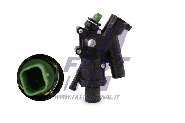 Thermostat, coolant (FT58194)