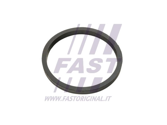 Seal Ring, oil cooler (FT49924)