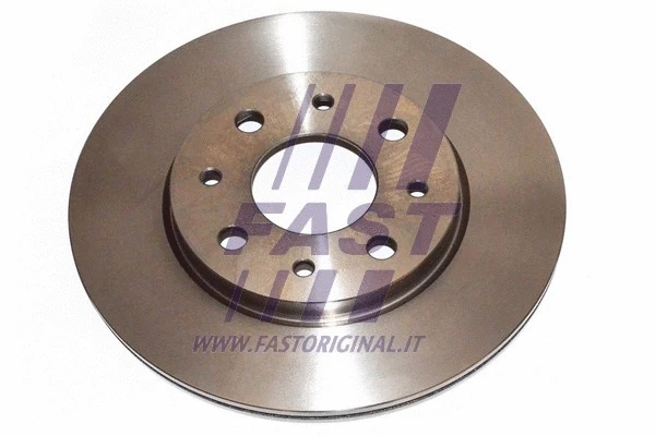 Brake Disc (FT31080)