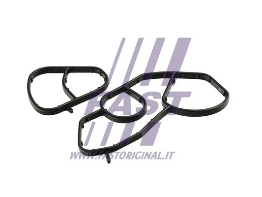 Gasket, oil filter housing (FT48934)
