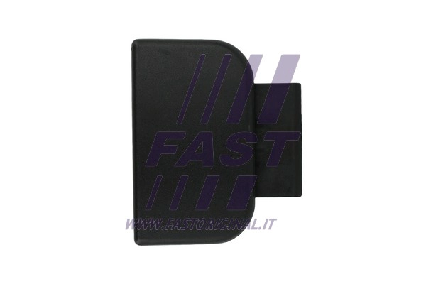 Exterior Door Handle (FT95494)