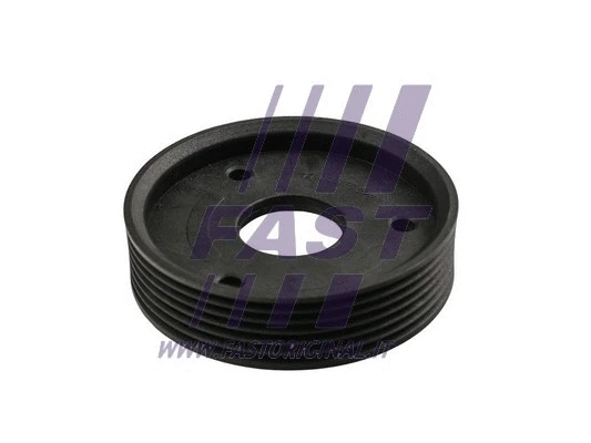 Belt Pulley, power steering pump (FT45594)