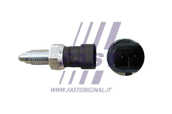 Switch, reverse light (FT81033)