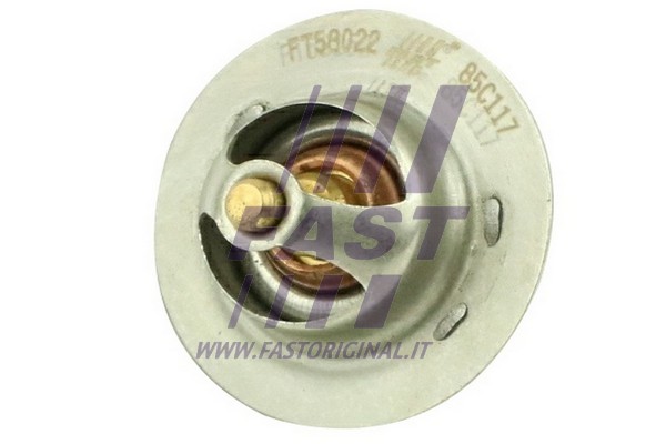 Thermostat, coolant (FT58022)