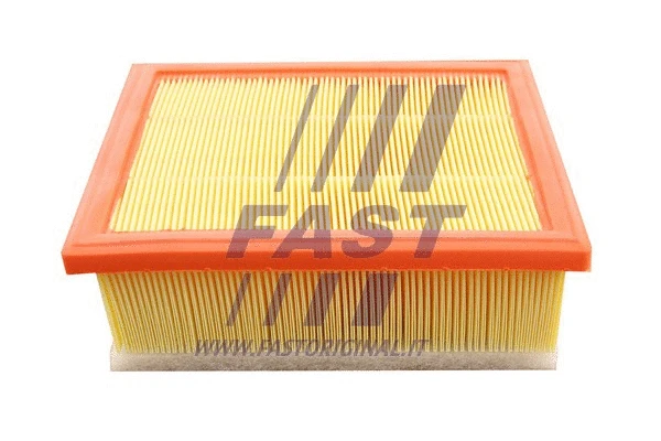 Air Filter (FT37174)