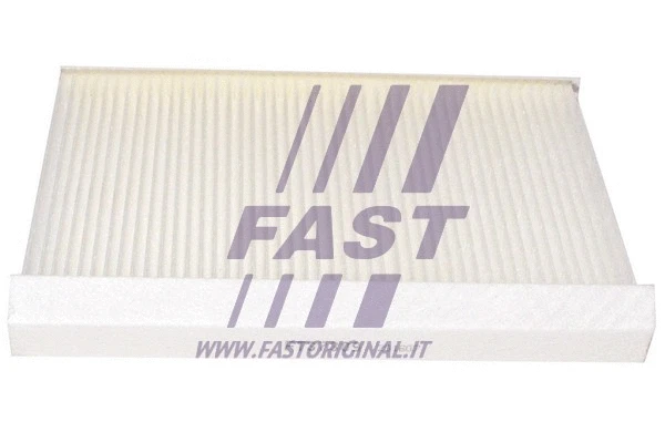 Filter, cabin air (FT37309)