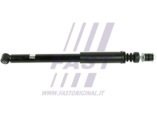 Shock Absorber (FT11019)