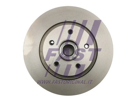 Brake Disc (FT31124)