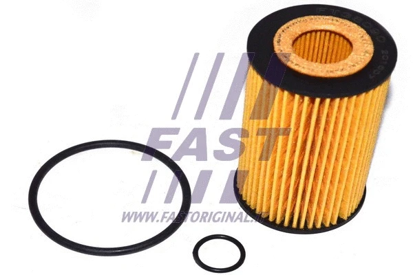 Oil Filter (FT38090)
