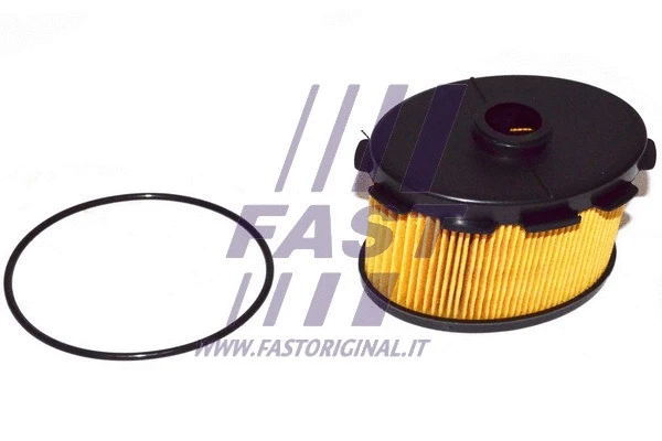 Fuel Filter (FT39078)