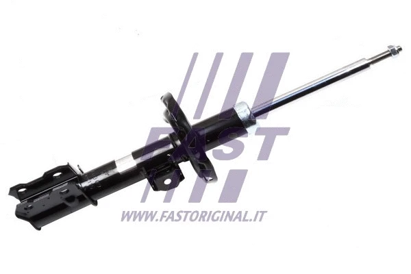 Shock Absorber (FT11309)