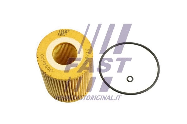 Oil Filter (FT38101)