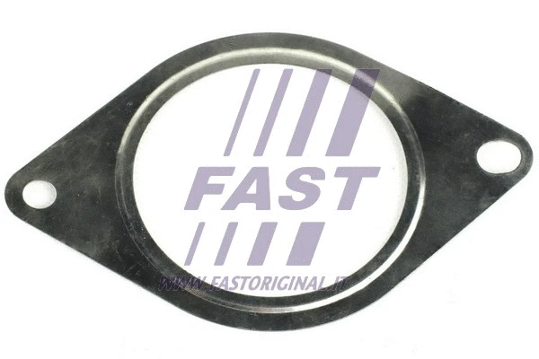 Gasket, exhaust pipe (FT84585)