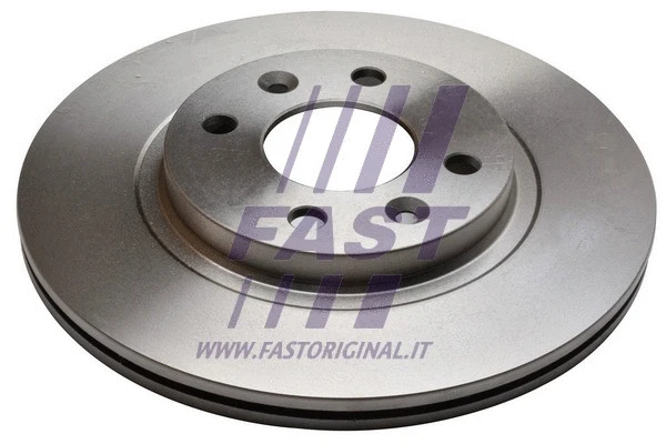 Brake Disc (FT31125)