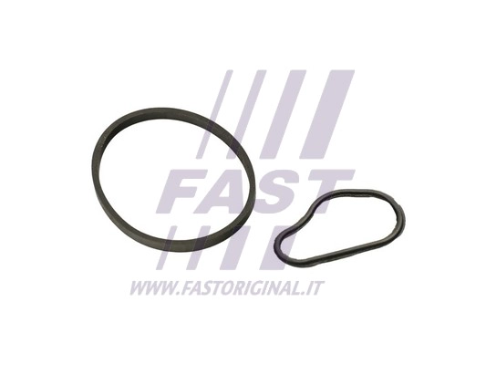 Gasket, vacuum pump